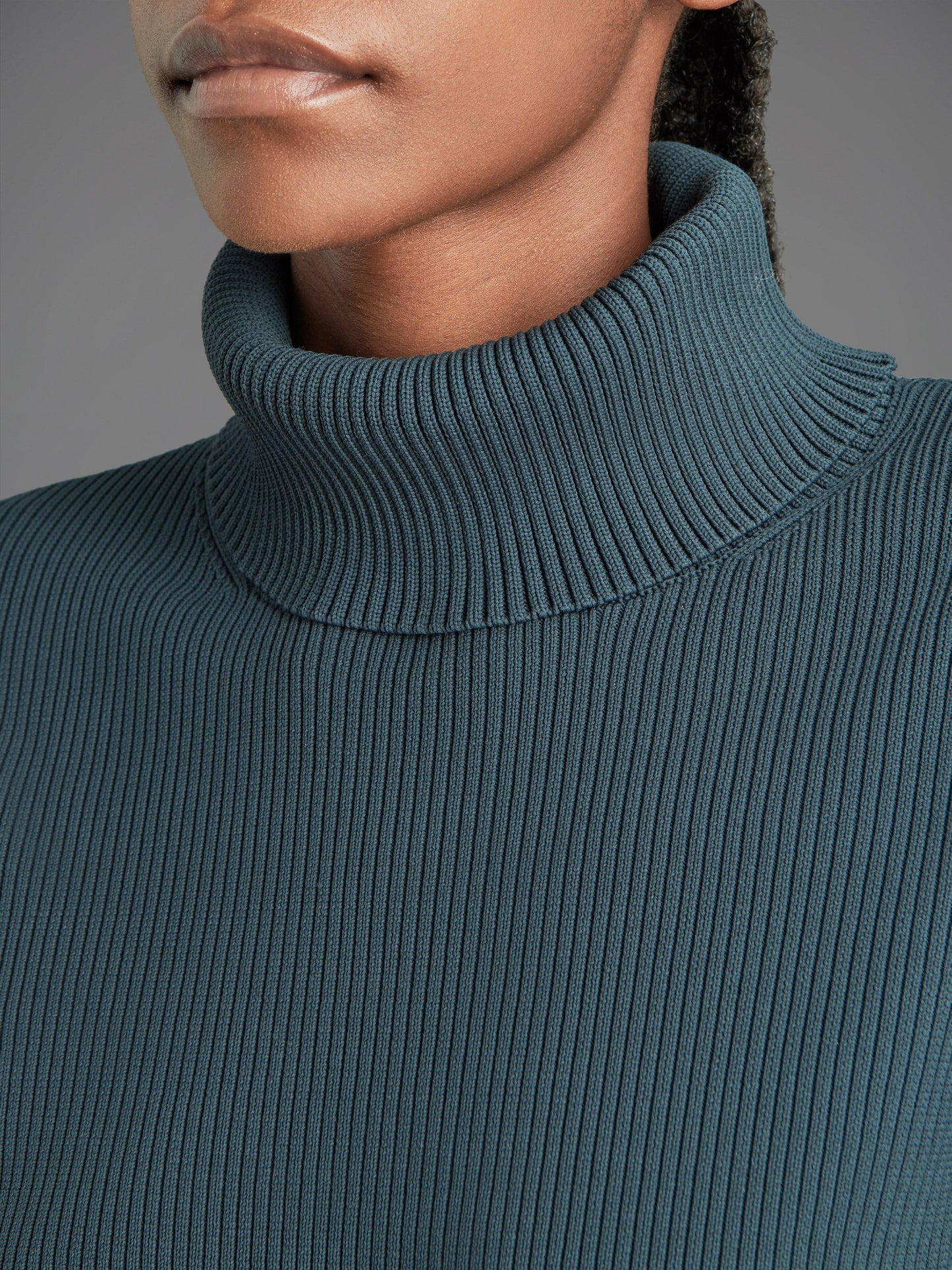Amos Lupin Turtleneck Wom Knit